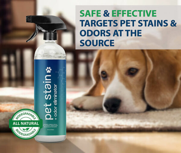 Stain Lifter pet stain and odor eliminator bottle dog in background
